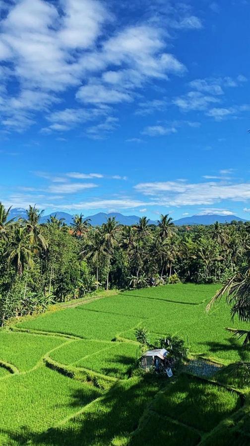 Nirwa Ubud Karma Hotel Exterior photo