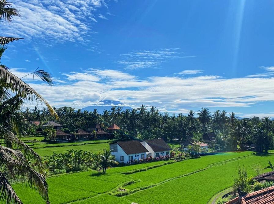 Nirwa Ubud Karma Hotel Exterior photo