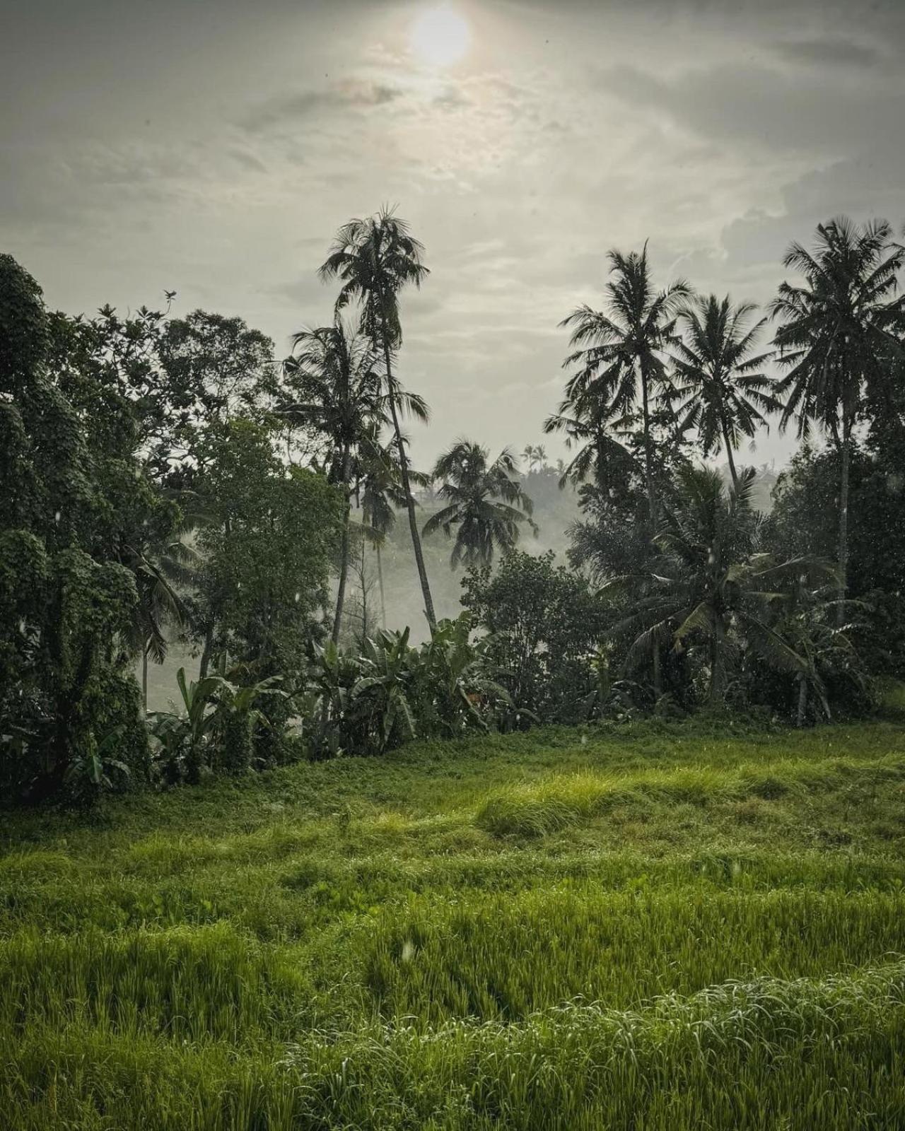 Nirwa Ubud Karma Hotel Exterior photo