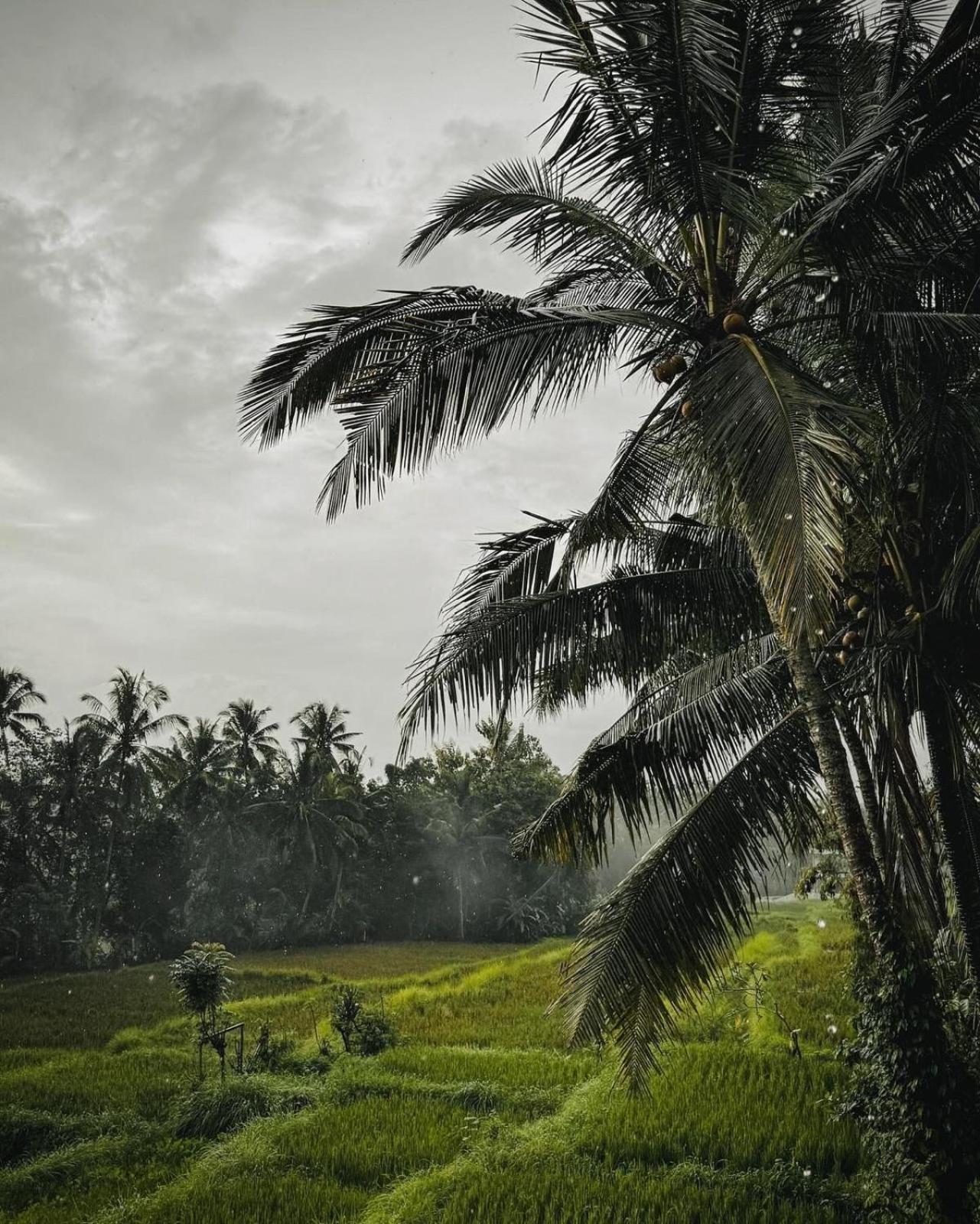 Nirwa Ubud Karma Hotel Exterior photo