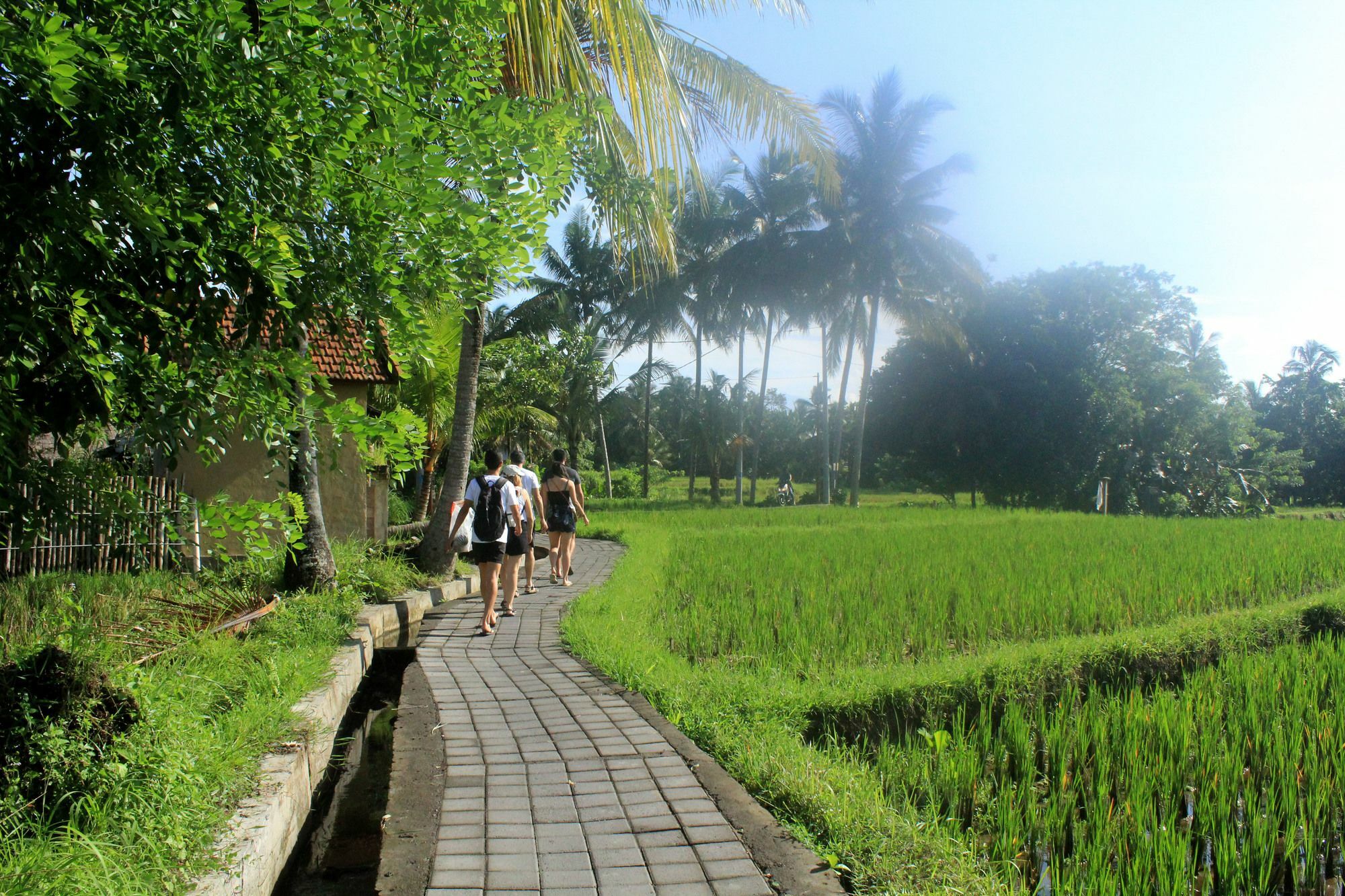 Nirwa Ubud Karma Hotel Exterior photo